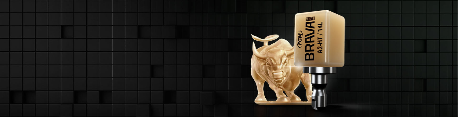 BRAVA BLOCK FGM – Bloques de Disilicato de Litio para Sistemas CAD/CAM | Sirona & Amann
